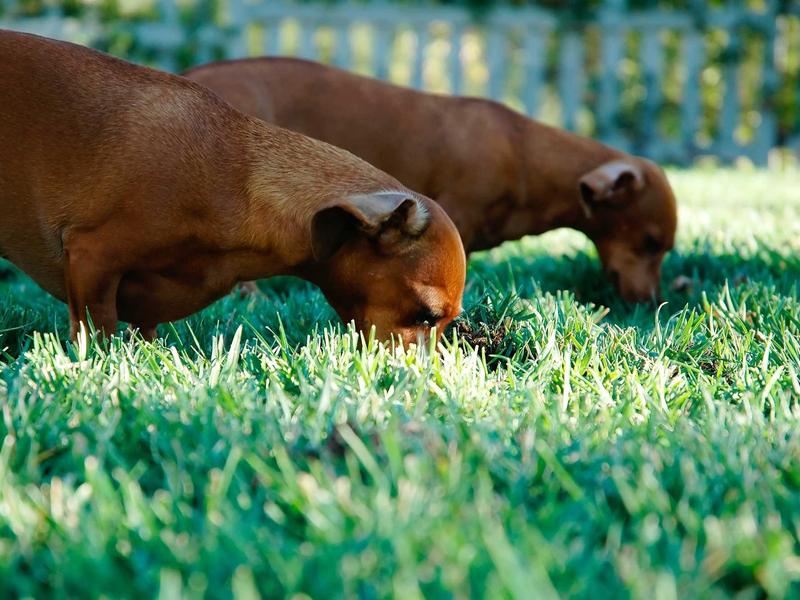 sudoku hidato screenshot 1